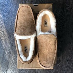 Men’s UGG Ascot Slipper